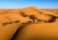 Know about the Beautiful Arabian desert landscape at Dubai Safari Adventure