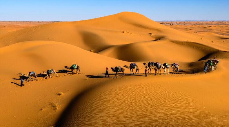 Know about the Beautiful Arabian desert landscape at Dubai Safari Adventure